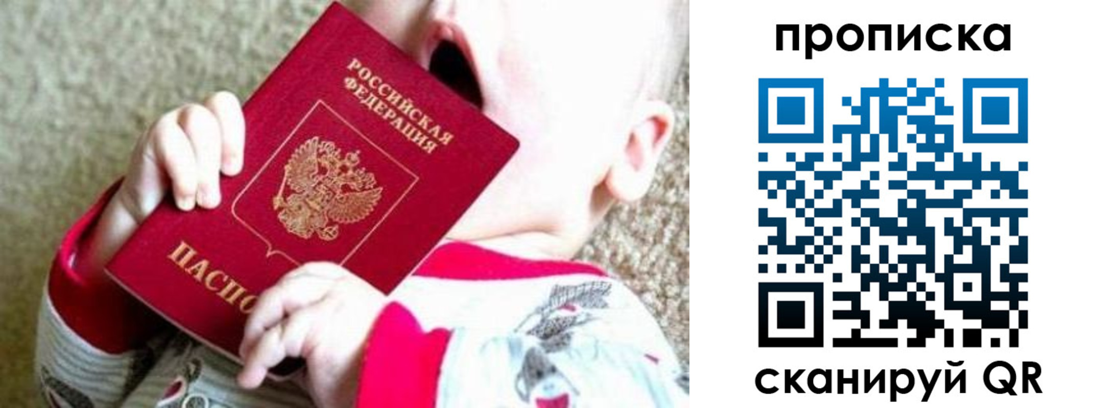 прописка законно в Железногорске